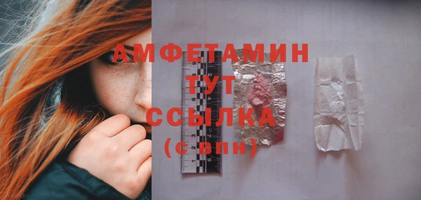 индика Коряжма