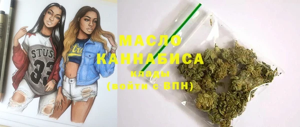 индика Коряжма