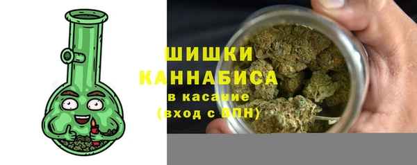индика Коряжма