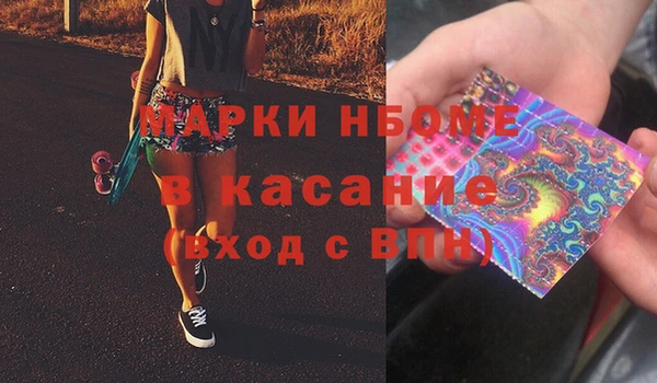 индика Коряжма