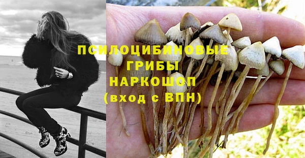 индика Коряжма