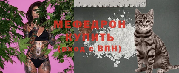индика Коряжма