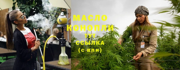 индика Коряжма