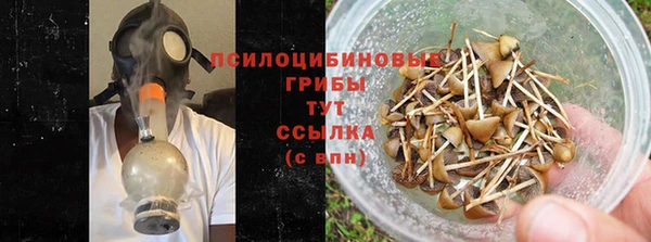 индика Коряжма