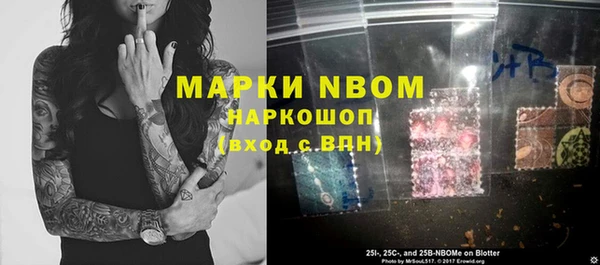индика Коряжма