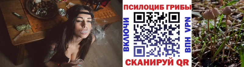 где купить наркотик  Рассказово  hydra как войти  Псилоцибиновые грибы прущие грибы 