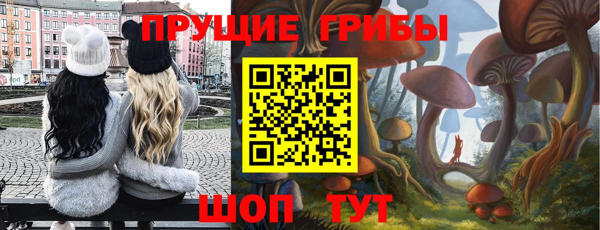 Псилоцибиновые грибы прущие грибы  Вход с VPN  Рассказово 
